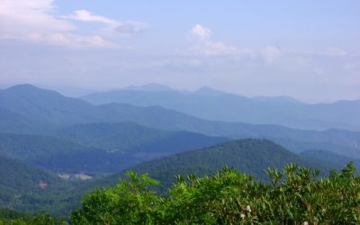 A Camping Experience